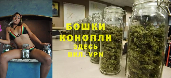 гидра Алексеевка