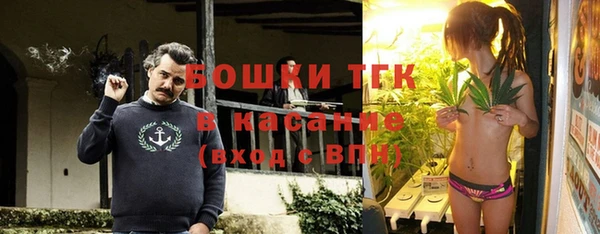 ешки Алзамай