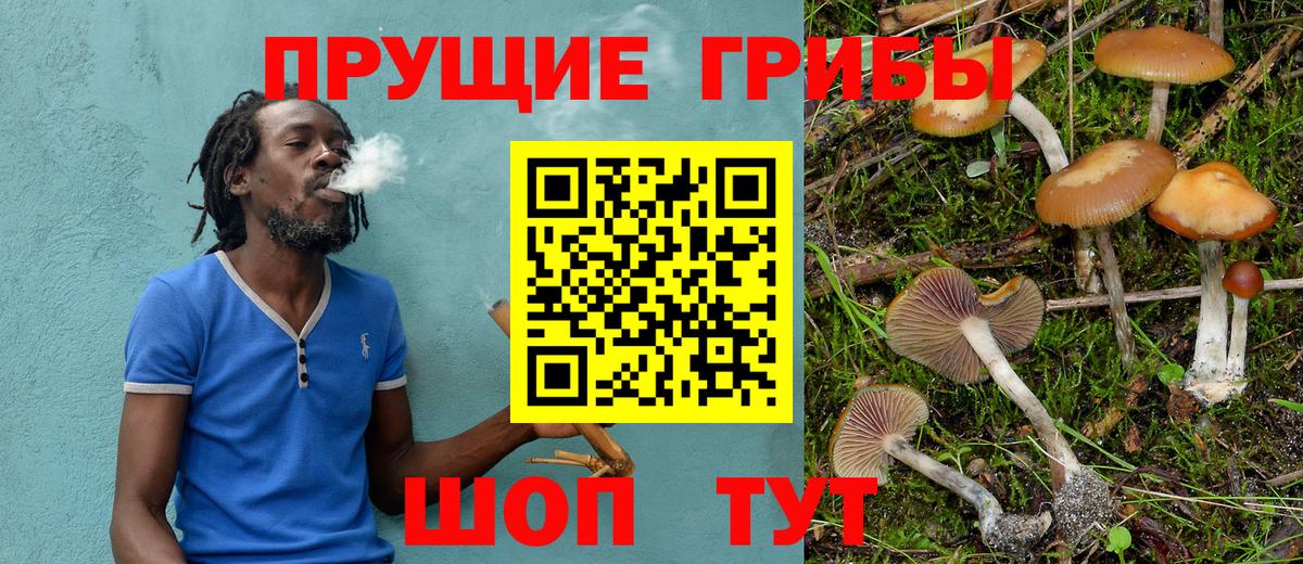 Североуральск  Галлюциногенные грибы Psilocybine cubensis  Галлюциногенные грибы Magic Shrooms  Вход с VPN 