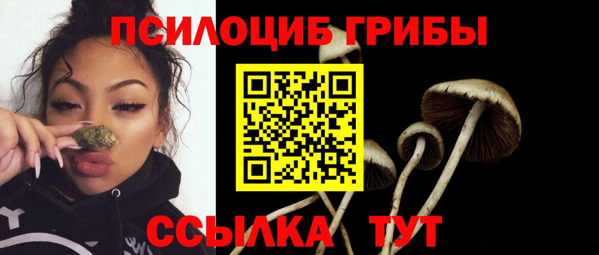 Галлюциногенные грибы ЛСД Североуральск